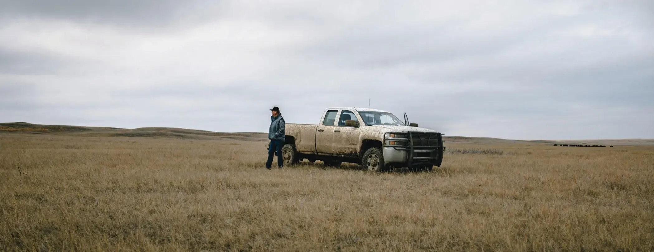 A truck on the open prairie at Turtle Mound Ranch near Wolf Point, Montana