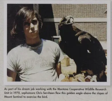 A young Chris Servheen holding a golden eagle on his arm in 1970
