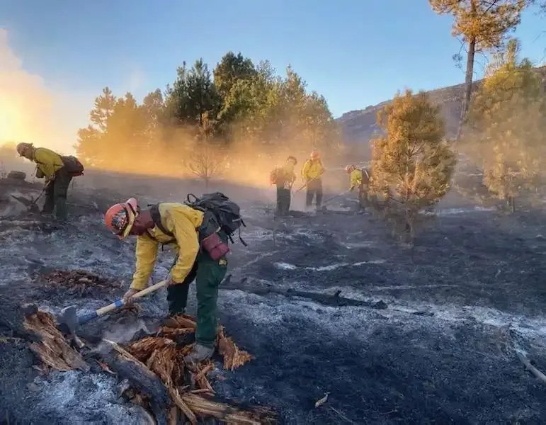 Men to Match Our Mountains: How Montana turns inmates into wildland firefighters 10 The Montana inmate crew doing mop-up work in a burned area