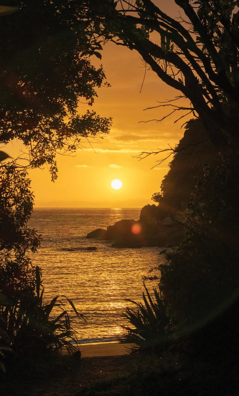 Adventure Guide: Into the fiords, peaks and coastlines of New Zealand’s South Island 7 Sunrise casting a golden hue over a small bay framed by trees